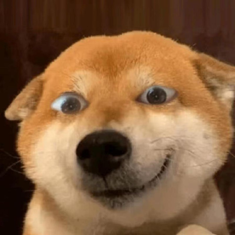 加载头像